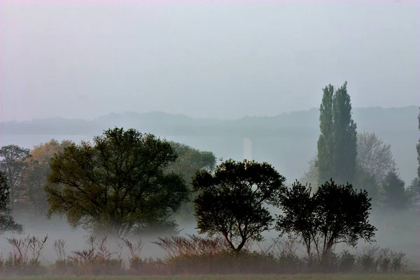 Morning Fog Ruhr Valley — Stockfoto