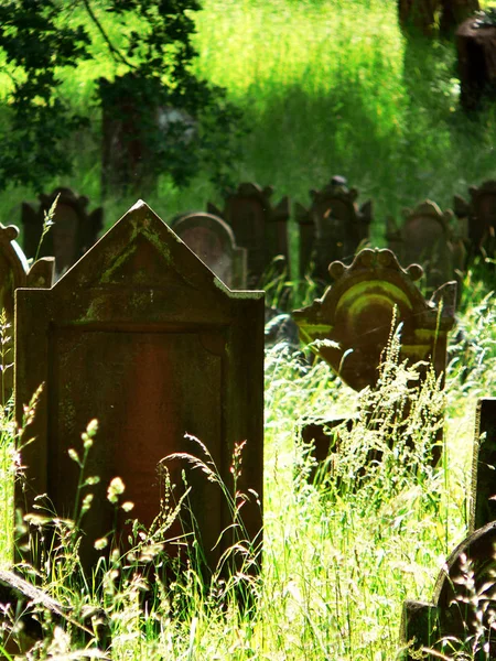 Židovský Hřbitov Miltenbergu — Stock fotografie