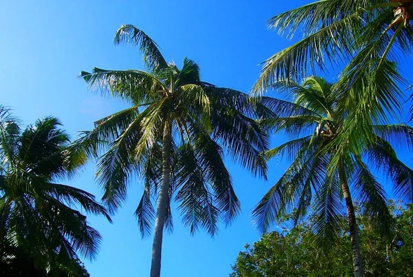 Kenya Daki Diani Plajında Alttaki Plaj Yukarıdaki Gökyüzü — Stok fotoğraf