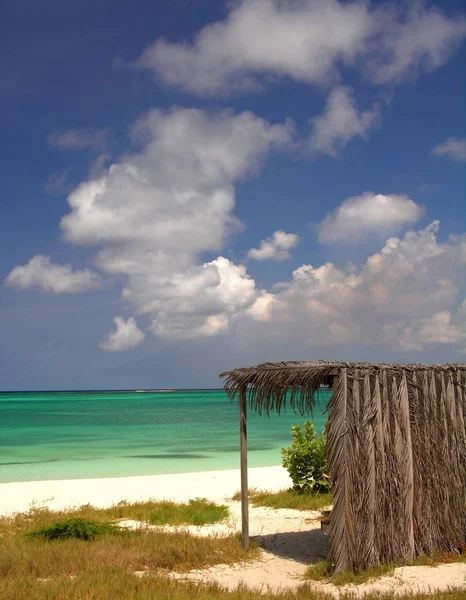 Coco Stranden Aruba — Stockfoto