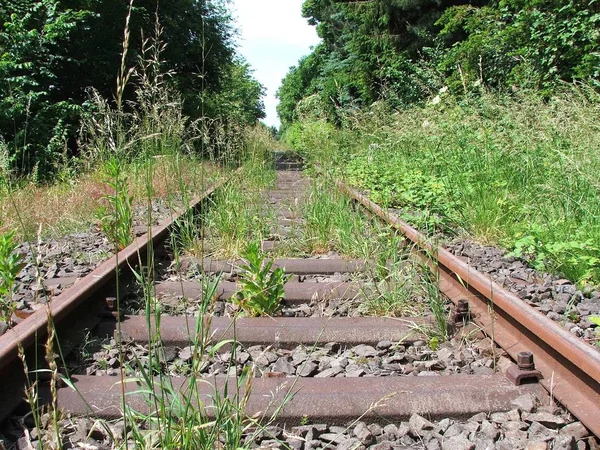 Železniční Trať Lese — Stock fotografie