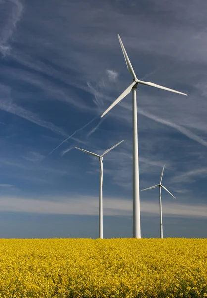 Wind Energy Increasingly Coming Criticism Many Say Disfigure Countryside Make — Stock Photo, Image