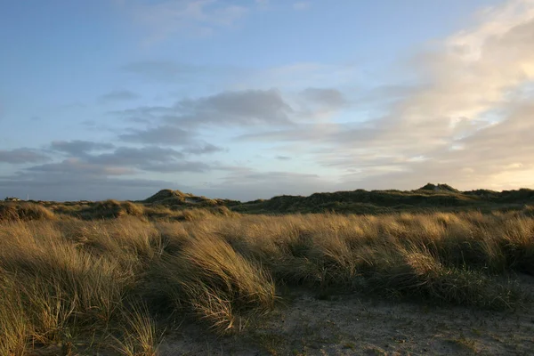 Scenic View Dunes Selective Focus — Stock Photo, Image