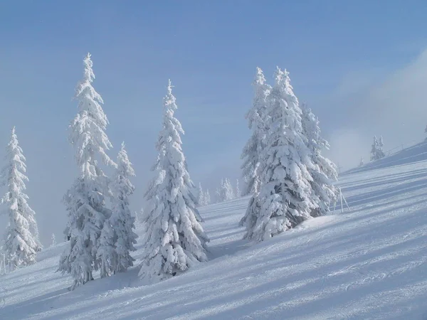 Férias Inverno 2005 Áustria — Fotografia de Stock