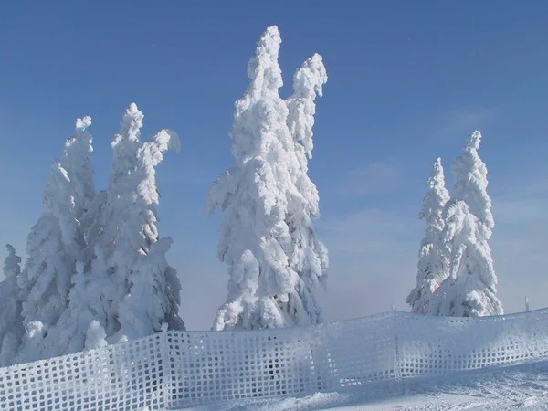 Vacances Hiver Autriche — Photo