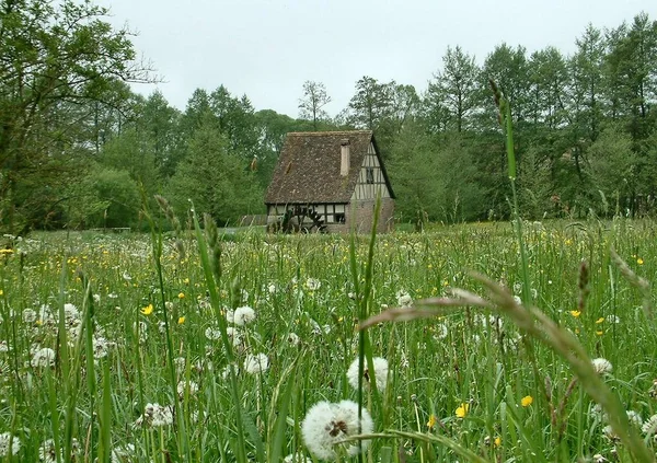 Picturesque View Countryside Scenery — Stock Photo, Image