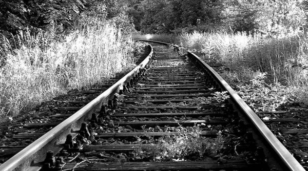 Tema Ferroviario Tiro Aire Libre —  Fotos de Stock