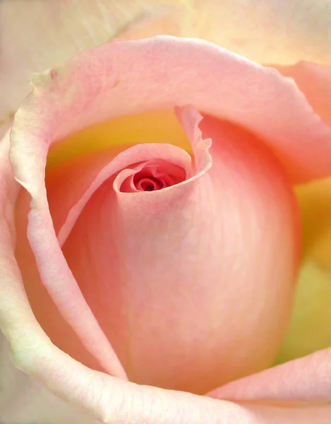 Bunter Hintergrund Für Valentinstag Karte — Stockfoto