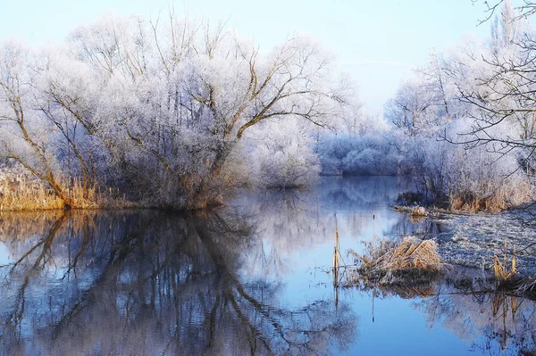 Landschapsbeeld Selectieve Focus Stockafbeelding