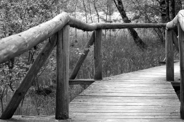 Vista Panorámica Arquitectura Del Puente — Foto de Stock