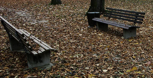 Piękny Widok Scenę Natury — Zdjęcie stockowe