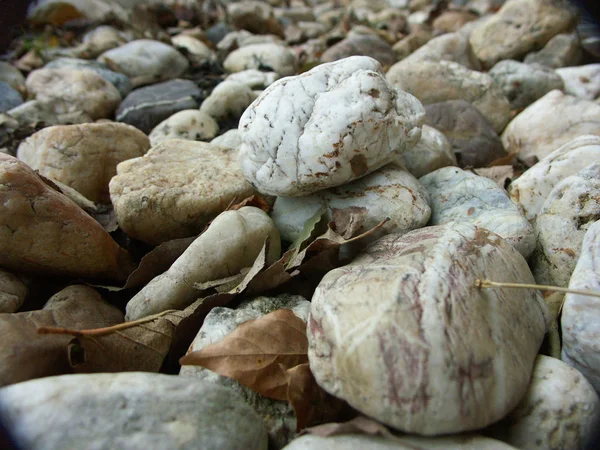 Pierres Galets Plage Rochers — Photo