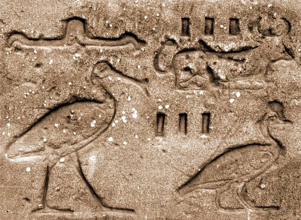 Гиероглифы Взятый Амон Искушение Карнак Около Луксора Например 1991 — стоковое фото