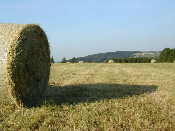 Autumn Harvest Selective Focus — Stock Photo, Image