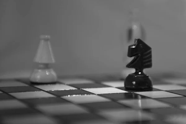 Estratégia Jogo Competição Tabuleiro Xadrez — Fotografia de Stock