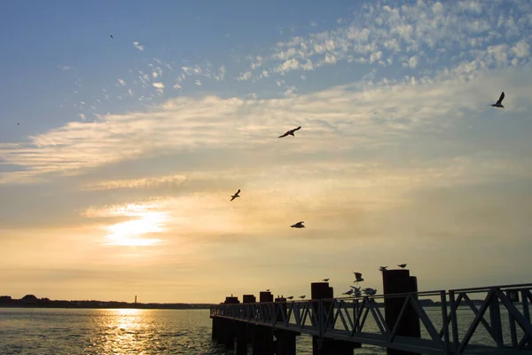 Scenic View Beautiful Harbor — Stock Photo, Image