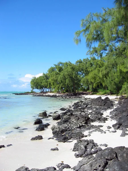 Den Vackra Paradisön — Stockfoto