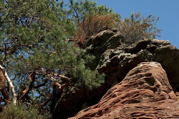 Prachtig Uitzicht Het Natuurlandschap — Stockfoto