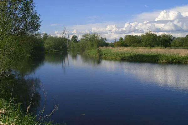 Nationaal Park Lagere Oder Vallei — Stockfoto