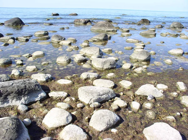 Uppstod Naturreservatet — Stockfoto