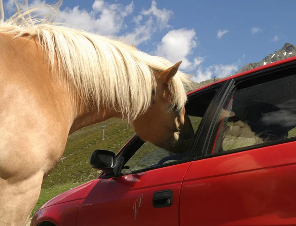 Skynda Med Euron Jag Ledsen — Stockfoto