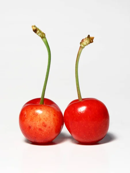 Two Ripe Cherries White Background — Stock Photo, Image