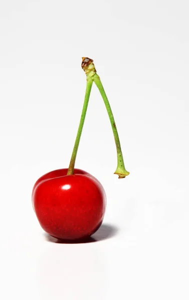 Cereza Roja Sobre Fondo Blanco — Foto de Stock