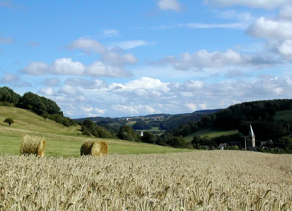 Eifel Jest Niskie Pasmo Górskie Zachodnich Niemczech Wschodniej Belgii — Zdjęcie stockowe