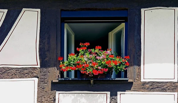 Ventana Flores Con Entramado Madera — Foto de Stock