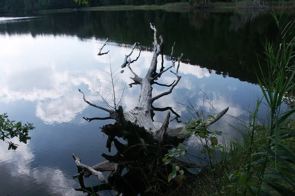 Piękny Widok Krajobraz Rzeki — Zdjęcie stockowe
