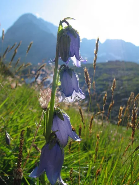 Vista Panoramica Maestosi Paesaggi Alpini — Foto Stock