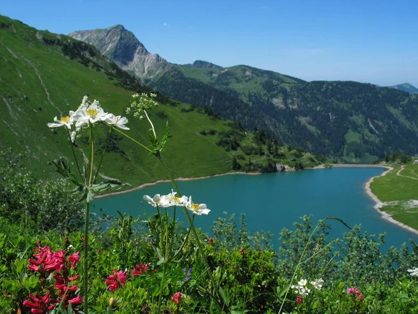 Vista Dos Alpes — Fotografia de Stock