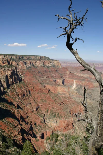 Grand Canyon Τοπίο Εθνικό Πάρκο — Φωτογραφία Αρχείου