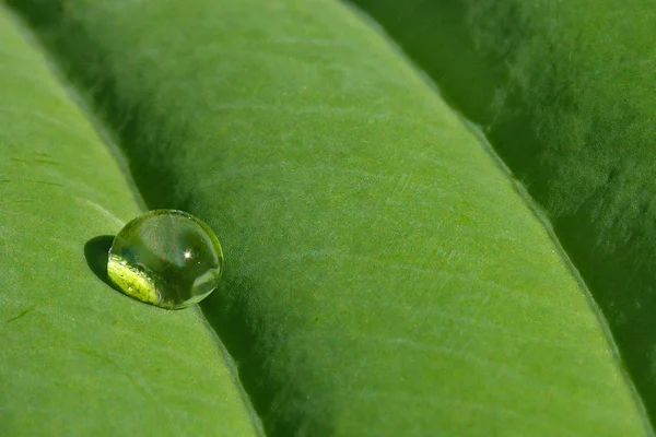 Konzeptionelles Bild Abstrakter Wassertropfen — Stockfoto