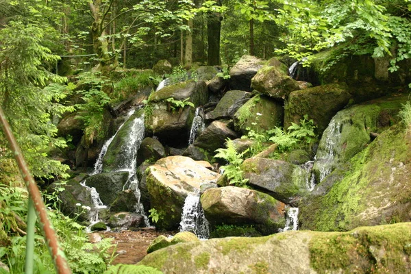 Cascada Naturaleza Flujo Agua —  Fotos de Stock