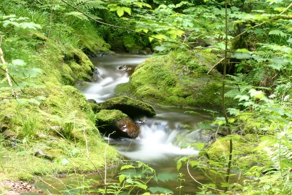 Prachtig Uitzicht Natuur Scene — Stockfoto