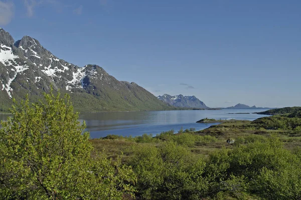 关于自然景观背景的Lofoten全景 — 图库照片