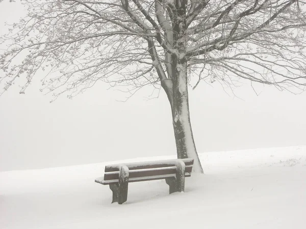 Vista Uma Cena Inverno — Fotografia de Stock