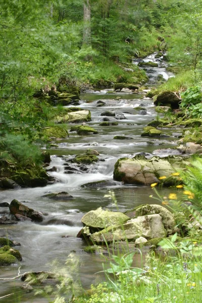 Hermosa Vista Naturaleza Escena — Foto de Stock