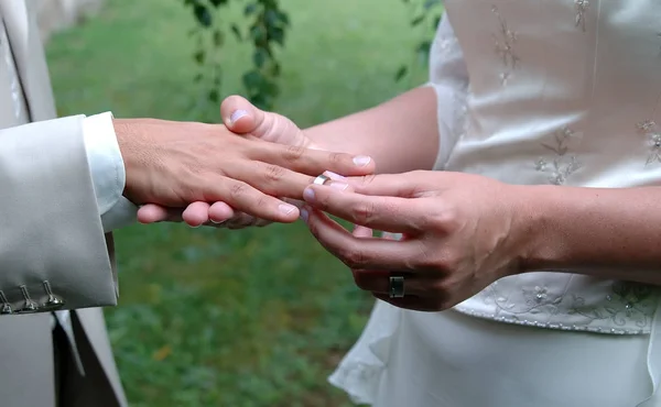 Visão Panorâmica Conceito Casamento — Fotografia de Stock