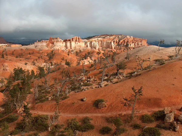 Canyon Bryce Parc National Avec Grès — Photo