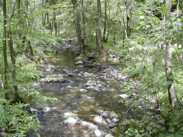 Eifel Είναι Μια Χαμηλή Οροσειρά Στη Δυτική Γερμανία Και Ανατολικό — Φωτογραφία Αρχείου