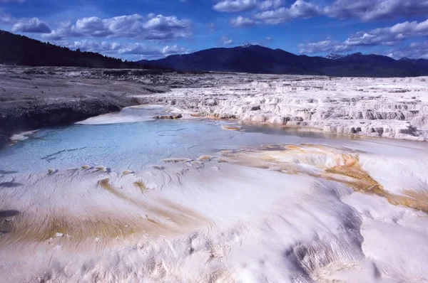 Cette Photo Été Prise Juin 2001 Dans Parc National Yellowstone — Photo