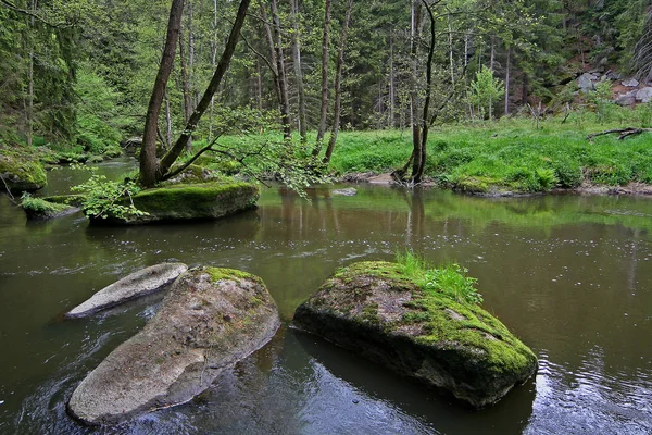 Beieren Grootste Duitse Staat Landoppervlakte Ongeveer Een Vijfde Van Totale — Stockfoto