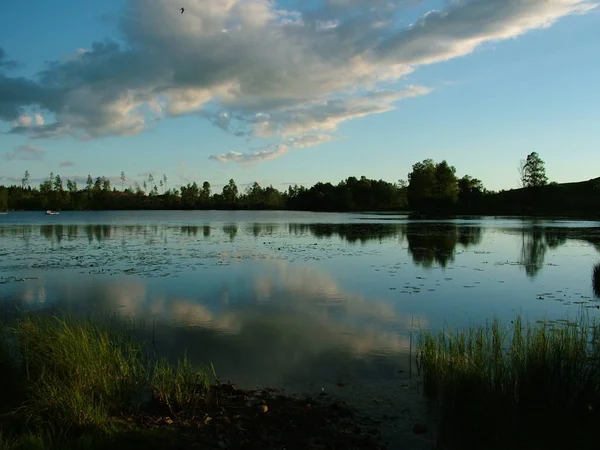 Piękny Widok Scenę Natury — Zdjęcie stockowe