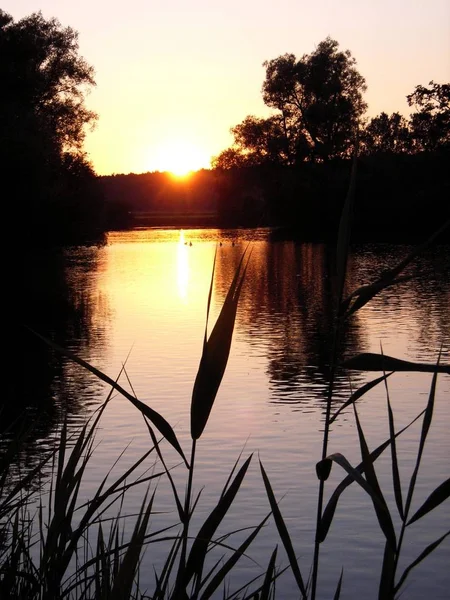 Zonsondergang Het Riviertje Bij Furstenfeldbruck — Stockfoto