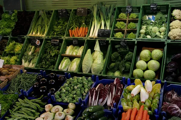 Alimentos Diferentes Enfoque Selectivo — Foto de Stock