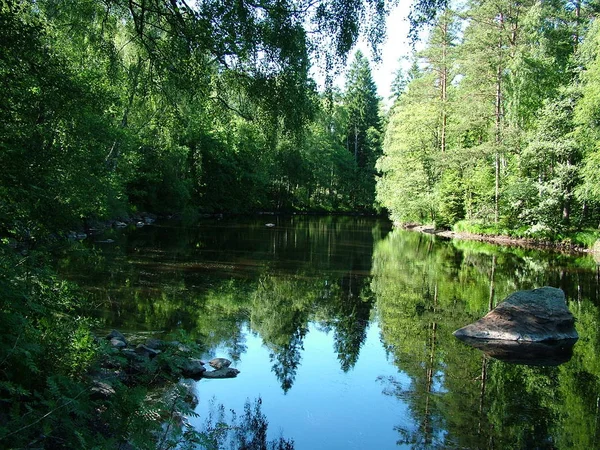 Långsamma Strömmande Vatten Södra Sverige Med Vackra Nästan Romantiska Kurvor — Stockfoto