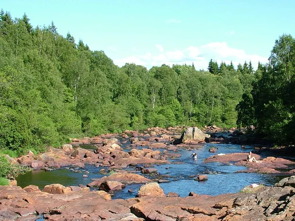 Estate Fiumi Più Piccoli Nel Sud Della Svezia Non Sono — Foto Stock