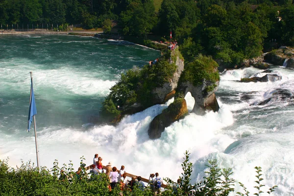 Rinoceronte Cai Perto Schaffhausen — Fotografia de Stock